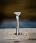 Close-up of a #12 gauge 5/8 inch flat head Phillips wood screw, premium 304 stainless steel self-tapping drywall fastener.