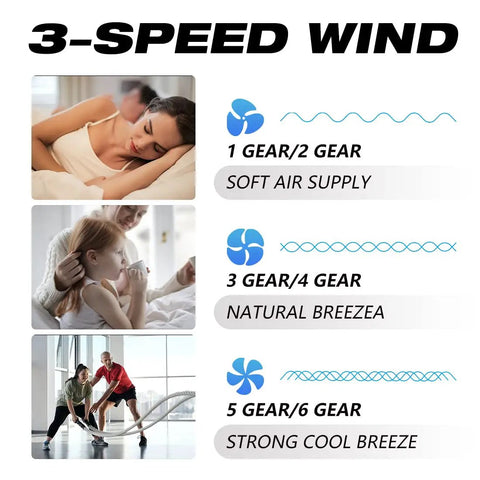 Features of the 25 Inch Contemporary Ceiling Fan With Lights And Remote, illustrating 6 speeds and wind modes.
