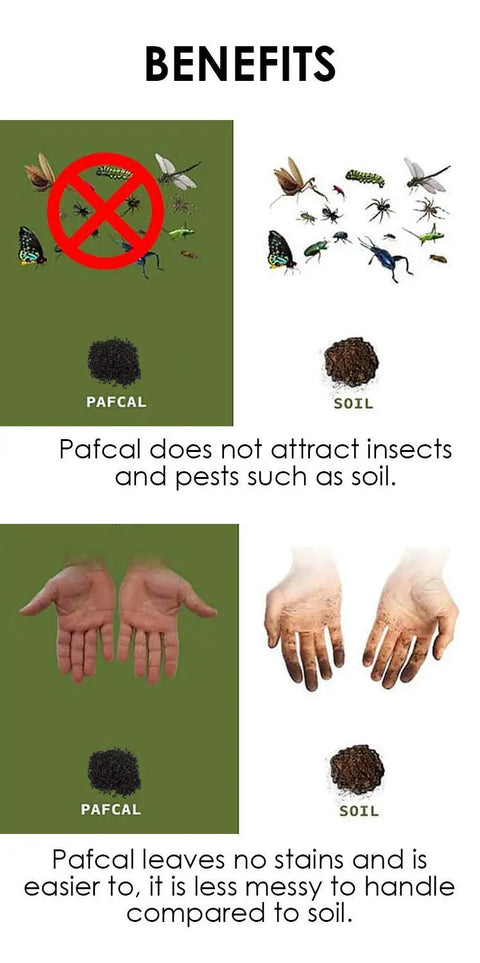 Comparison of organic plant sponge chips and soil with benefits listed, highlighting pest resistance and cleanliness.