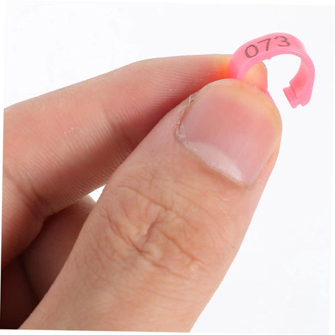 Close-up of a pink numbered band from 200 Piece Pigeon Identification Bands Set With Lightweight Numbered Leg Rings For Quail And Small Birds, Durable Clip Design For Easy Breeding And Tracking.