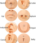 Piercing styles including nostril, ear lobe, lip, septum, industrial, tongue, conch, and belly using various jewelry types.