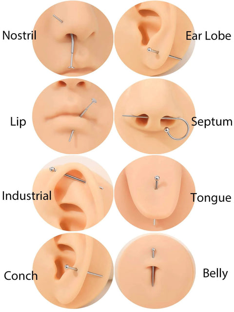Piercing styles including nostril, ear lobe, lip, septum, industrial, tongue, conch, and belly using various jewelry types.