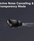 Studio Buds Plus True Wireless Earbuds With Active Noise Canceling And Transparency Mode in black gold with ANC effect illustration.