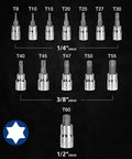 Torx Bit Socket Set T8 To T60 With 1/4 In 3/8 In And 1/2 In Drive, S2 Steel Six Point Bits And CR-V Sockets, Storage Case