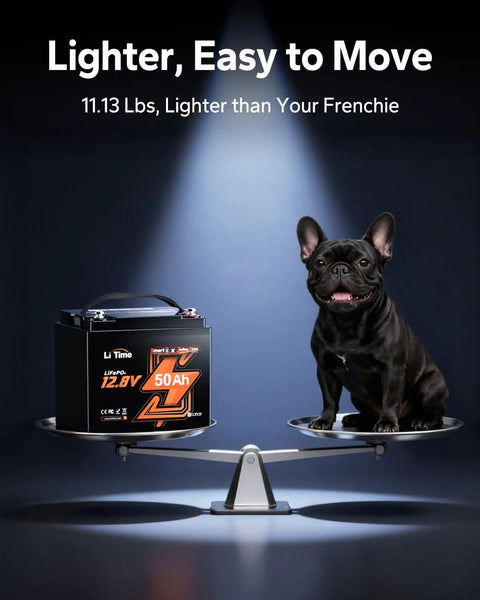 12V 50Ah LiFePO4 Trolling Motor Battery With Bluetooth, Low Temp Protection, EV Grade Cells next to a small dog on a balance scale