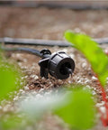 Close-up of dripper in Solar Powered Automatic Drip Irrigation System With 50 Drippers And 155 Feet Of Tubing for gardens.