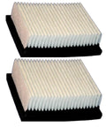 Two Pack Dust Panel Filters For Rider Floor Scrubbers And Sweepers, Replacement Part 1037822, Fits 7100, 7300, T16, T17, 8300 And M17 Models