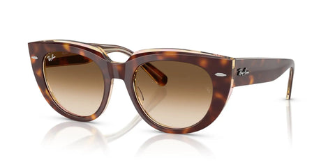 Doreen Low Bridge Fit Sunglasses, Light Havana Transparent Frame With Clear Gradient Brown Lenses, XL Wide Face Fit, 52 mm Square Style
