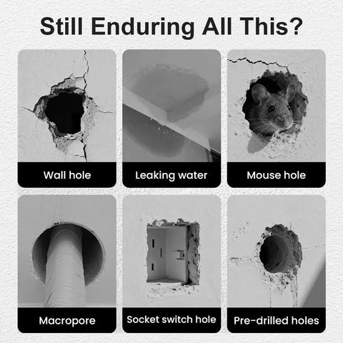 Image showcasing various wall issues like wall holes, leaking water, mouse holes, and pre-drilled holes.