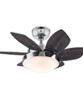 Quince 24 Inch Indoor LED Ceiling Fan With Light, Chrome Finish, Reversible Wengue Blades, Downrod Only Installation