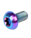 6 Piece Titanium Bike Rotor Bolts M5x10mm Torx T25 Head Grade 5 Titanium Lightweight About 1.3g Each Colorful Finishes for Disc Brakes Compatible With SRAM Avid Hayes IRD Magura Shimano Formula and More