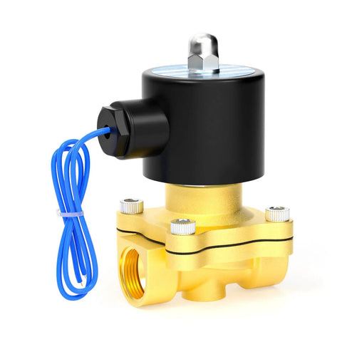 3/4 Inch NPT Brass Electric Solenoid Valve AC110V 2W-200-20, normally closed, black coil, blue wire, for irrigation and industrial use