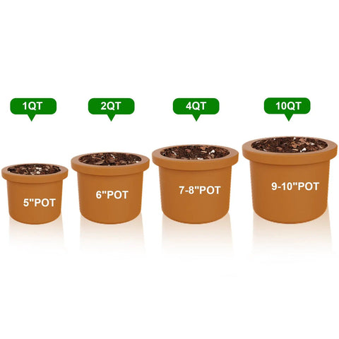 Four brown pots filled with soil labeled 1QT, 2QT, 4QT, 10QT in increasing sizes on a white background.