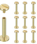 Top Tier Brass Chicago Screw Rivets M4x25mm Phillips Head Studs For DIY Leather Belts Bags Wallets 10 Pack Set shown from above.
