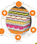 Heavy Duty Six Layer Electric Food Dehydrator For Fresh Fruits Veggies Beef Jerky And Homemade Pet Snacks Featuring Quiet Motor And Fast Dry Modes with colorful dried fruits on trays.