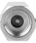 Front view of stainless steel hex air check valve with 1/4 inch BSPP female thread.
