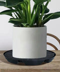 Low Maintenance No Fuss Auto Irrigation Plant Saucer For Indoor And Outdoor Gardens Self Watering Base showing plant on tray