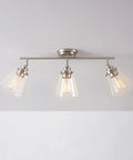 Vintage Inspired Dope Brushed Nickel Three Light Track Lighting With Pivoting Heads And Clear Glass Shades For Industrial Farmhouse Coastal Spaces Bulb Not Included, mounted on ceiling, showcasing clear glass shades.