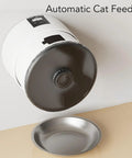 Wall Mounted Automatic Cat Feeder With WiFi Remote And 4 Liter Bin, sleek white design with stainless steel bowl below.