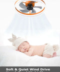 Ceiling Fan With Lights Dimmable LED Remote Control Timing 5 Reversible Blades Flush Mount Low Profile Design Quiet Copper Motor