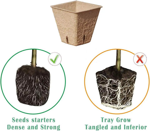 Seed Starter Kit With 100 Peat Pots, showing comparison of healthy dense roots vs tangled roots in trays.