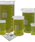 Berzelius Tall Beaker Set With Magnetic Stir Bars, five sizes filled, single scale, borosilicate glass and package visible.