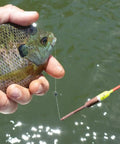Angler holding fish with High Visibility Balsa Fishing Floats Assortment Spring Bobbers One Half Inch Pencil Style Five Pack For Crappie Panfish Walleyes