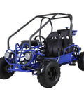 Blue 125cc Fully Automatic Gas Go Kart With Reverse For Two Riders Youth Remote Engine Shut Off Governed Speed Big 16x8 Tires