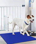 Dog on Sticky Mats For Clean Rooms Blue 24 By 36 Inches Walk Off Tacky Mats For Construction Home Lab Pet Garage Floors