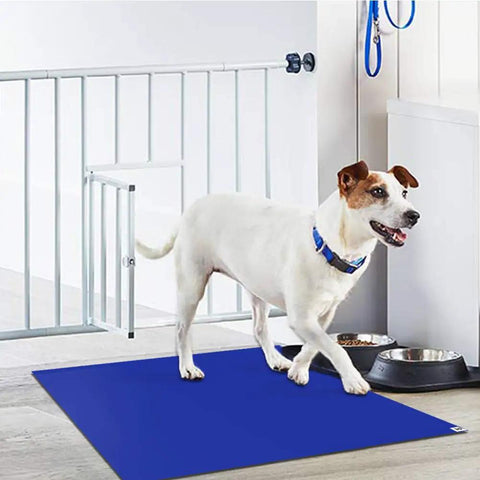 Dog on Sticky Mats For Clean Rooms Blue 24 By 36 Inches Walk Off Tacky Mats For Construction Home Lab Pet Garage Floors