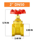 Front view of 2-inch brass gate valve with red hand wheel and female x female threads