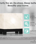 Authentic Himalayan Salt Lamp Hand Carved Modern Rectangle White Crystal Rock Salt From The Himalayas on Wood Base
