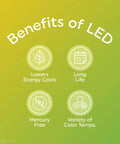 Benefits of LED infographic: lowers energy costs, long life, mercury-free, variety of color temps. 60W Equivalent LED A19 Bulbs.