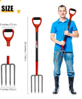 Heavy Duty 4-Tine Garden Spading Fork With 43 Inch Fiberglass Handle, 7x3.5 Inch Head, shown with dimensions next to person