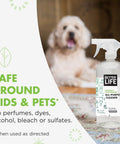 All Purpose Cleaner Spray For Home And Kitchen Multipurpose Multisurface Cleaner For Glass Countertops Appliances Upholstery And More Unscented 32oz Pack Of 2 with dog