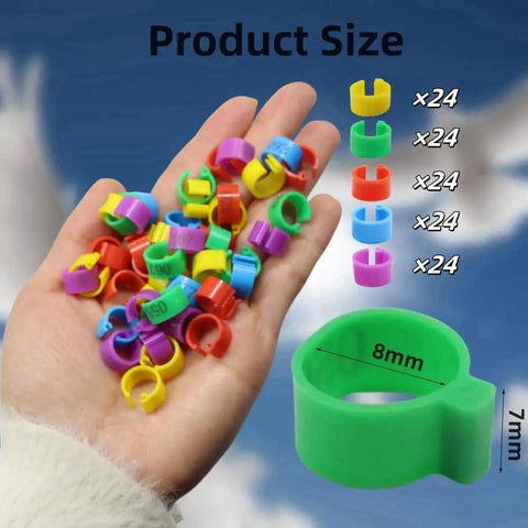 Hand holding colorful 8mm pigeon leg bands, set of 120, numbered, for baby chick, bantam, dove, and poultry ID and tracking.