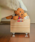 1 Inch Rigid Caster Wheels 4 Pack Non Swivel Single Direction Low Profile Silent TPE Rubber in a toy storage box under bed