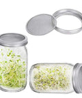 Straight Up Premium Stainless Steel Sprouting Lids And Stands For Wide Mouth Mason Jars displaying germinating sprouts in glass jars.