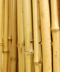 Close-up view of Natural Bamboo Fence Roll Panel 0.75 Inch Thick 6 Foot High By 8 Foot Long with Tonkin bamboo material detail.
