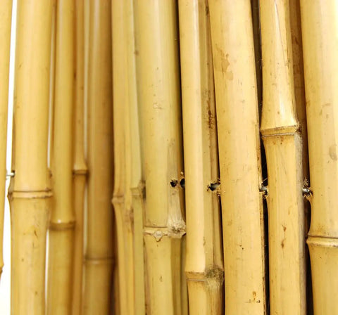 Close-up view of Natural Bamboo Fence Roll Panel 0.75 Inch Thick 6 Foot High By 8 Foot Long with Tonkin bamboo material detail.