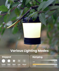Rechargeable LED Camping Lantern With Dimmable Warm And Cool Light And Red Night Mode hanging on a branch outdoors.