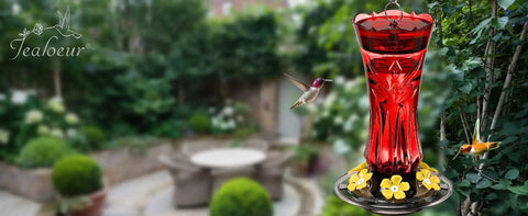Durable Outdoor Hummingbird Feeder With Six Feeding Ports Built In Ant Moat And Bee Guard 18 Oz Capacity in a garden