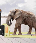 Heavy Duty 4400 Lbs Electric Pallet Jack Truck With Removable Lithium Battery For Easy Warehouse Moving And Material Handling Plus Walkie Pump Design with an elephant.