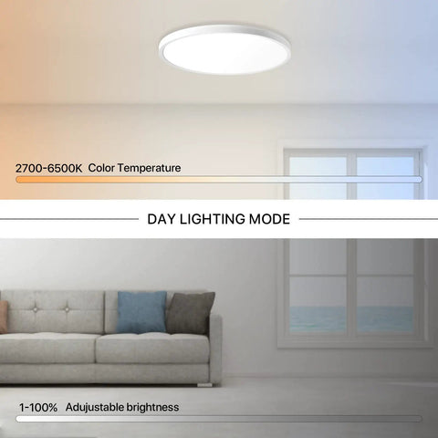 Smart RGB LED Ceiling Light 12 Inch Flush Mount 24W with WiFi and Voice Control for Alexa and Google Assistant in living room