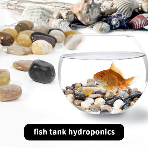 Fish tank with a goldfish, using Polished River Rock Gravel Set 0.5-1.2 Inch Natural Mixed Color Pebbles for decor.