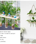 Wall Mounted Water Culture Plant Station with Wooden Bracket and Glass Tube Vases, plants displayed, modern home decor