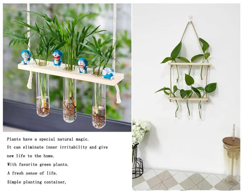 Wall Mounted Water Culture Plant Station with Wooden Bracket and Glass Tube Vases, plants displayed, modern home decor