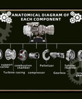 Anatomical diagram of Quarter Scale Turboshaft Engine Model Kit components including gearbox and turbine casing.
