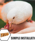 No Fuss Setup Pigeon Racing Door For Coops And Bird Houses Wooden Cage Door shown with simple installation graphic