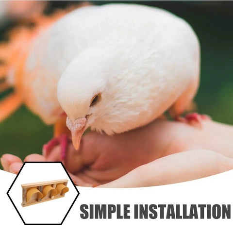No Fuss Setup Pigeon Racing Door For Coops And Bird Houses Wooden Cage Door shown with simple installation graphic